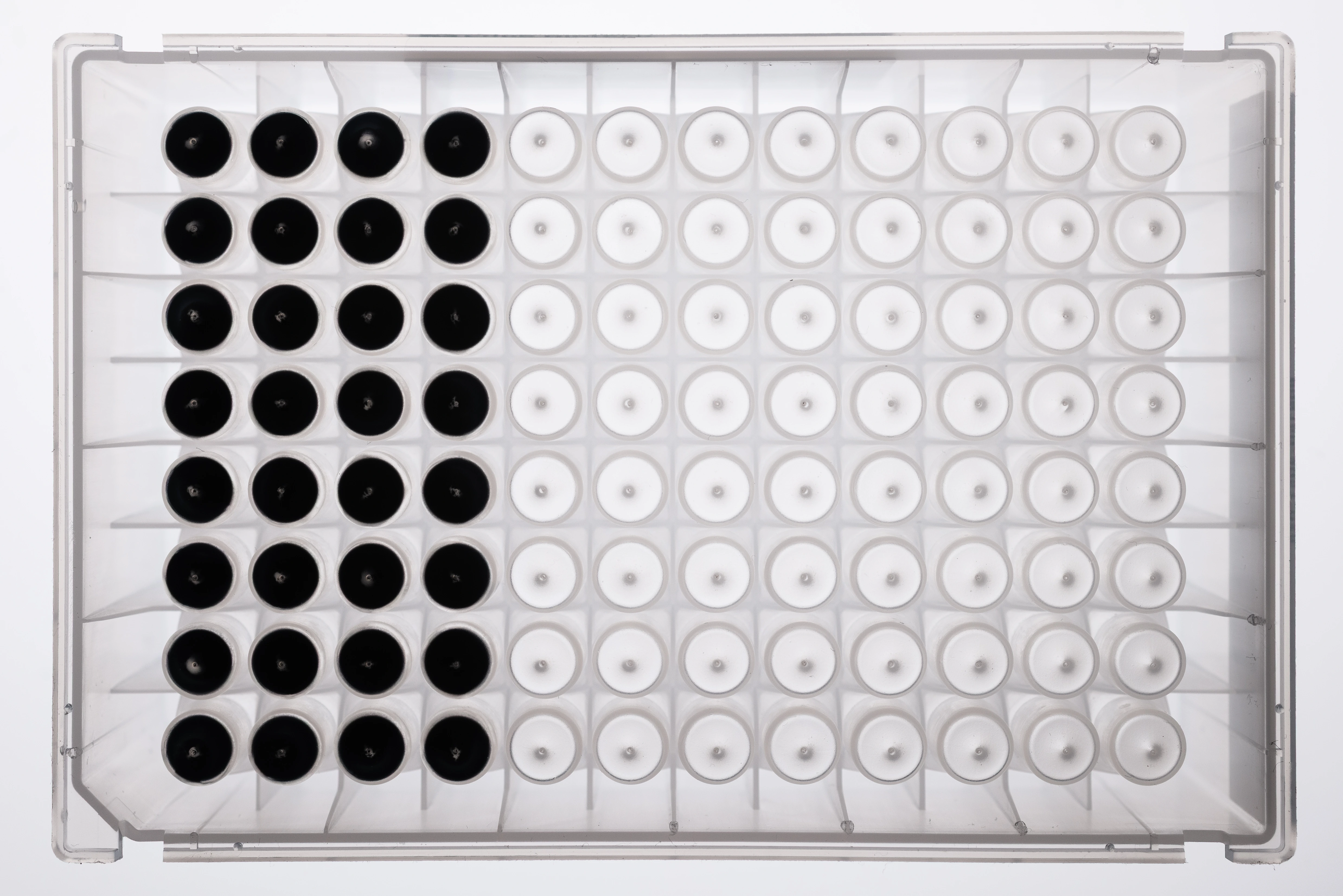 NativeMP™ Screening + Rho1D4 Purification Plate Set