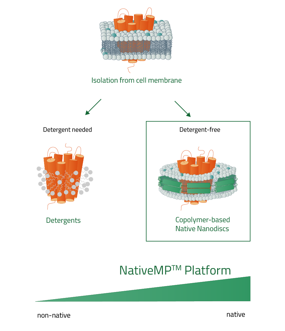 copolymer vs detergents workflow