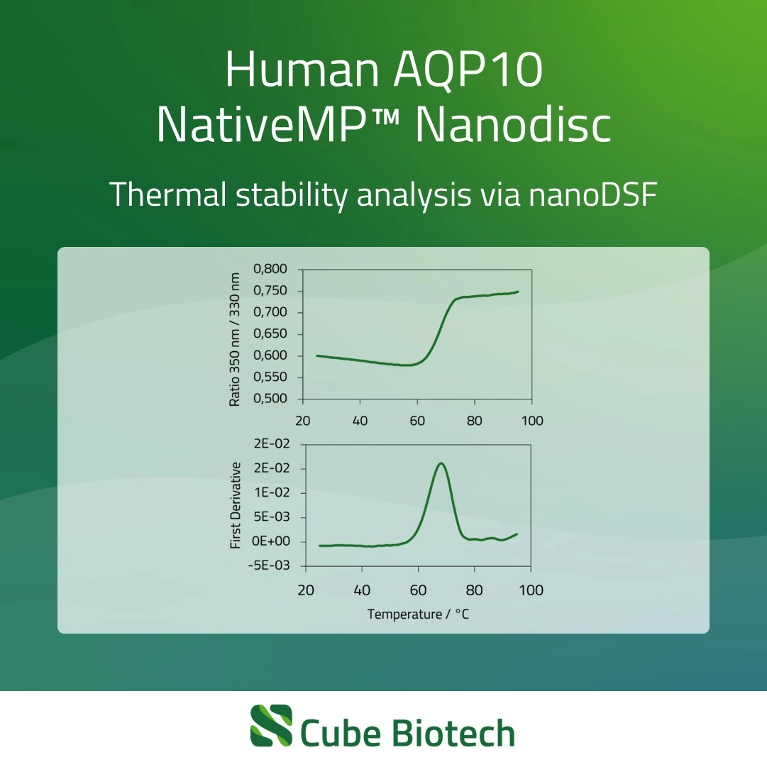 AQP10 - Aquaporin-10