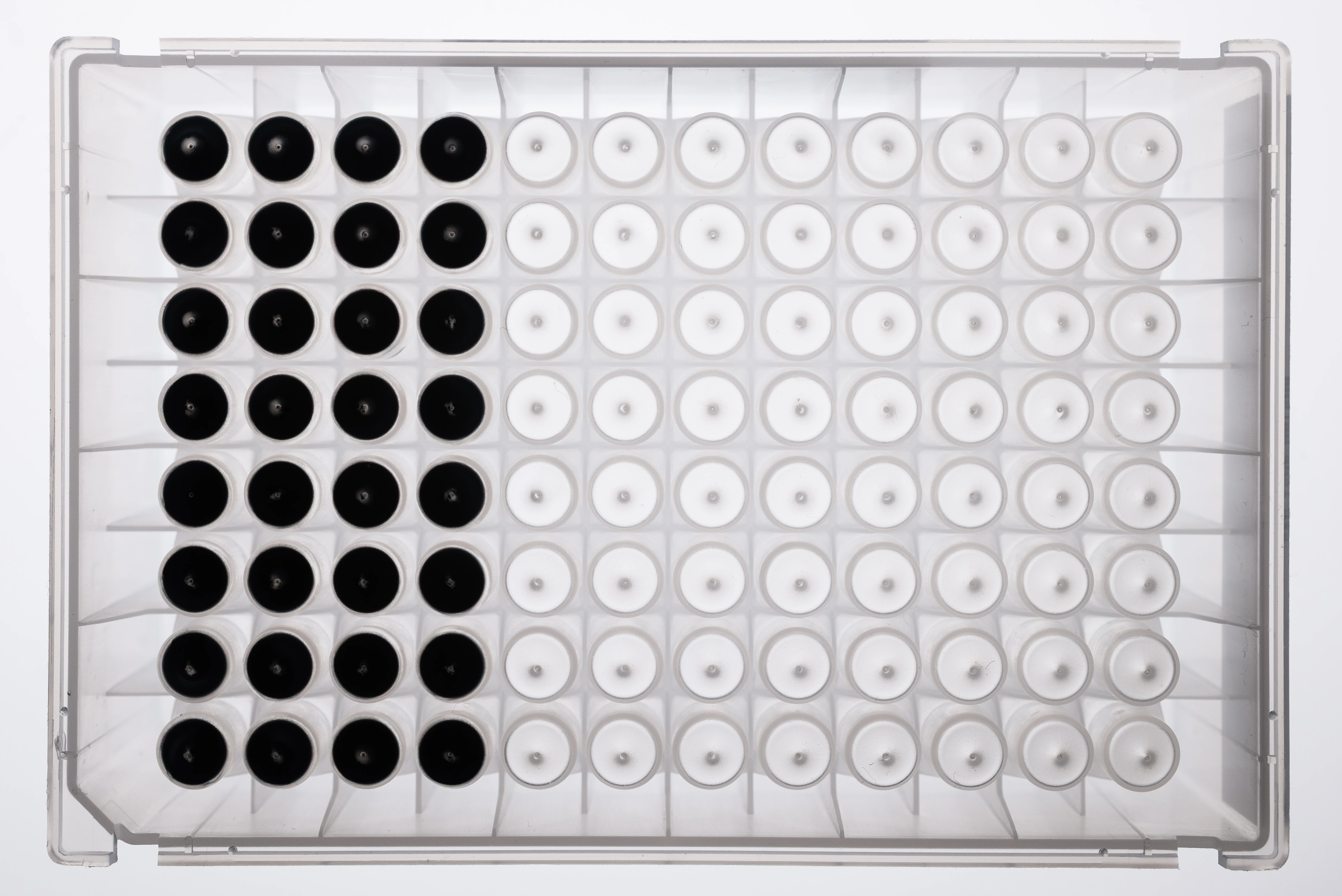 NativeMP™ Screening + Anti-DYKDDDDK Purification Plate Set