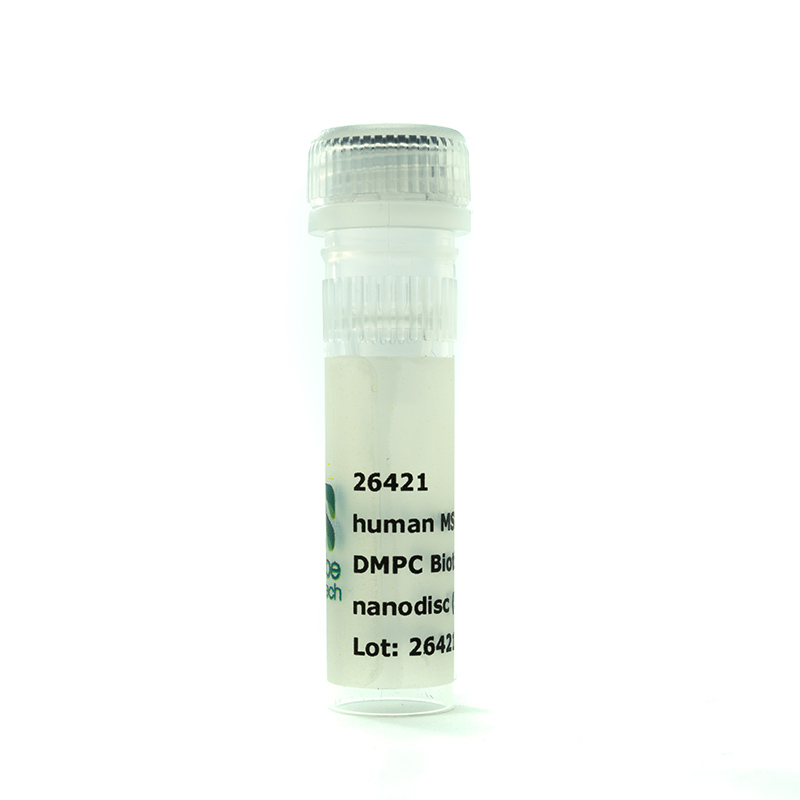 Nanodisc MSP1D1 dH5-His DMPG Biotinyl PE (50 µl)