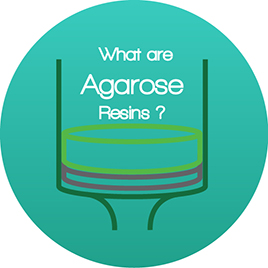 What are agarose resins