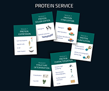 Protein Services