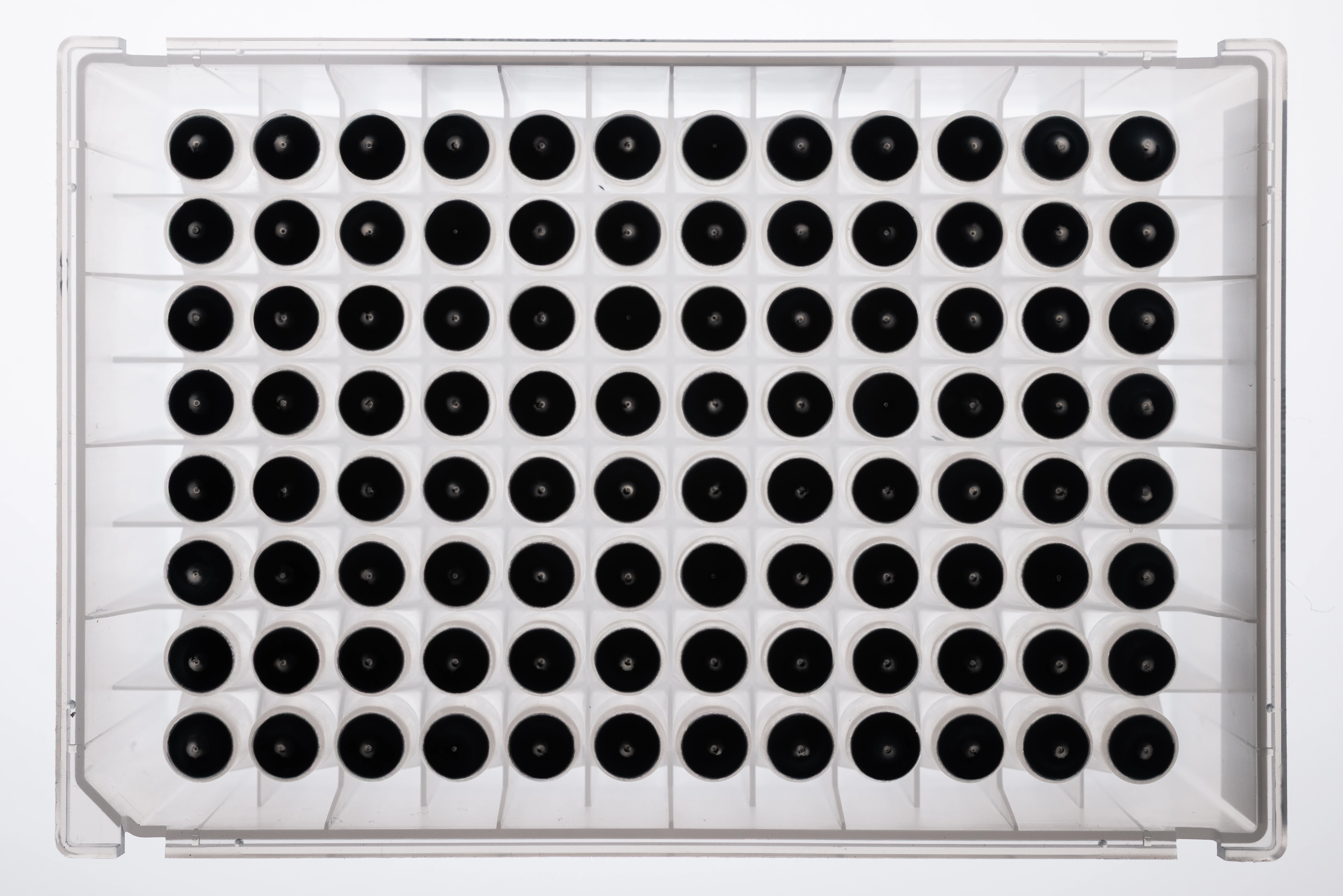 NativeMP™ Screening + Strep-Tactin®XT Purification Plate Set