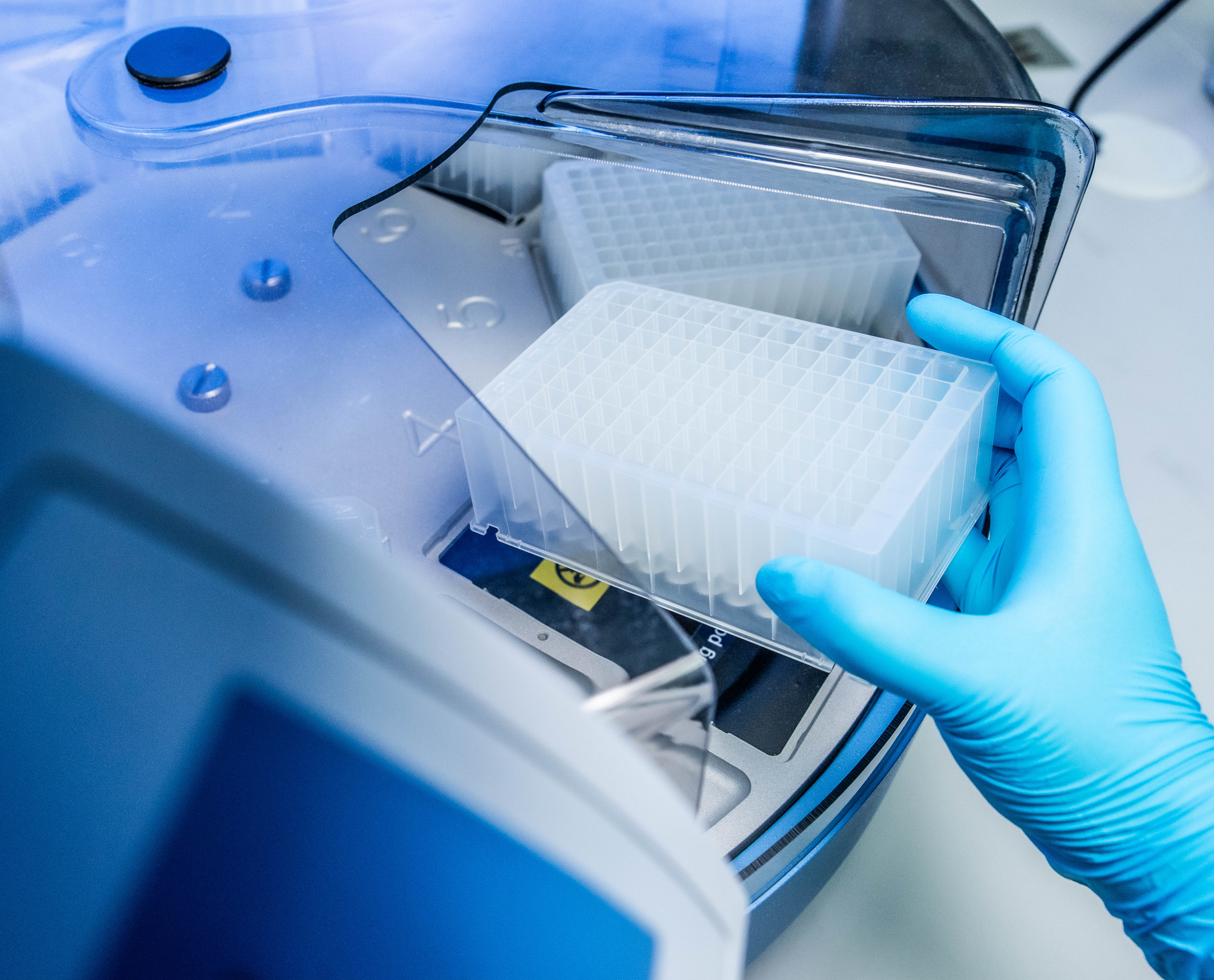 Automated platform dispensing on a plate