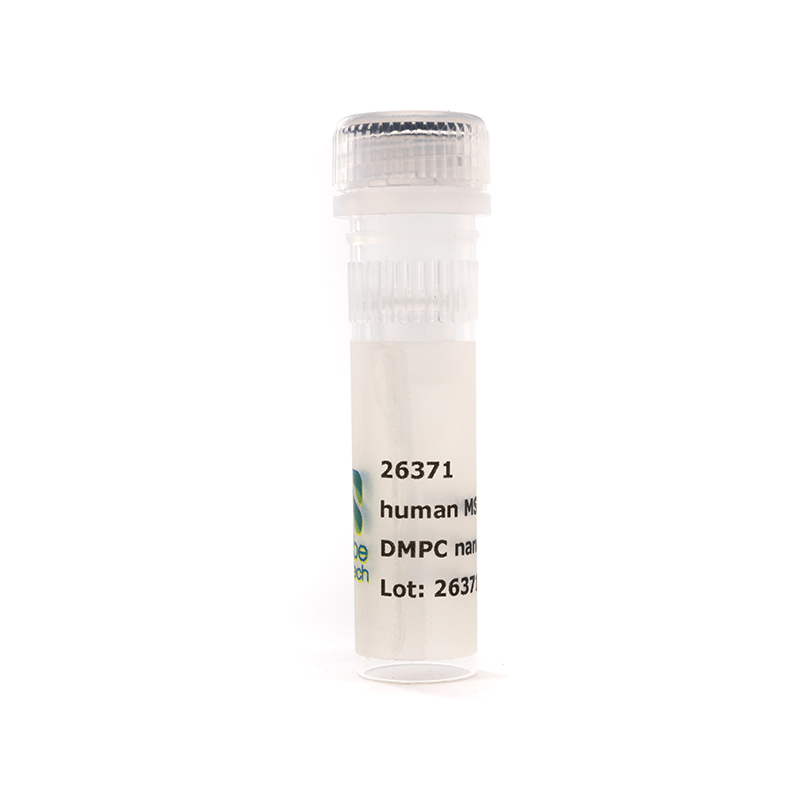 Nanodisc MSP2N2-His DMPC (50 µL)