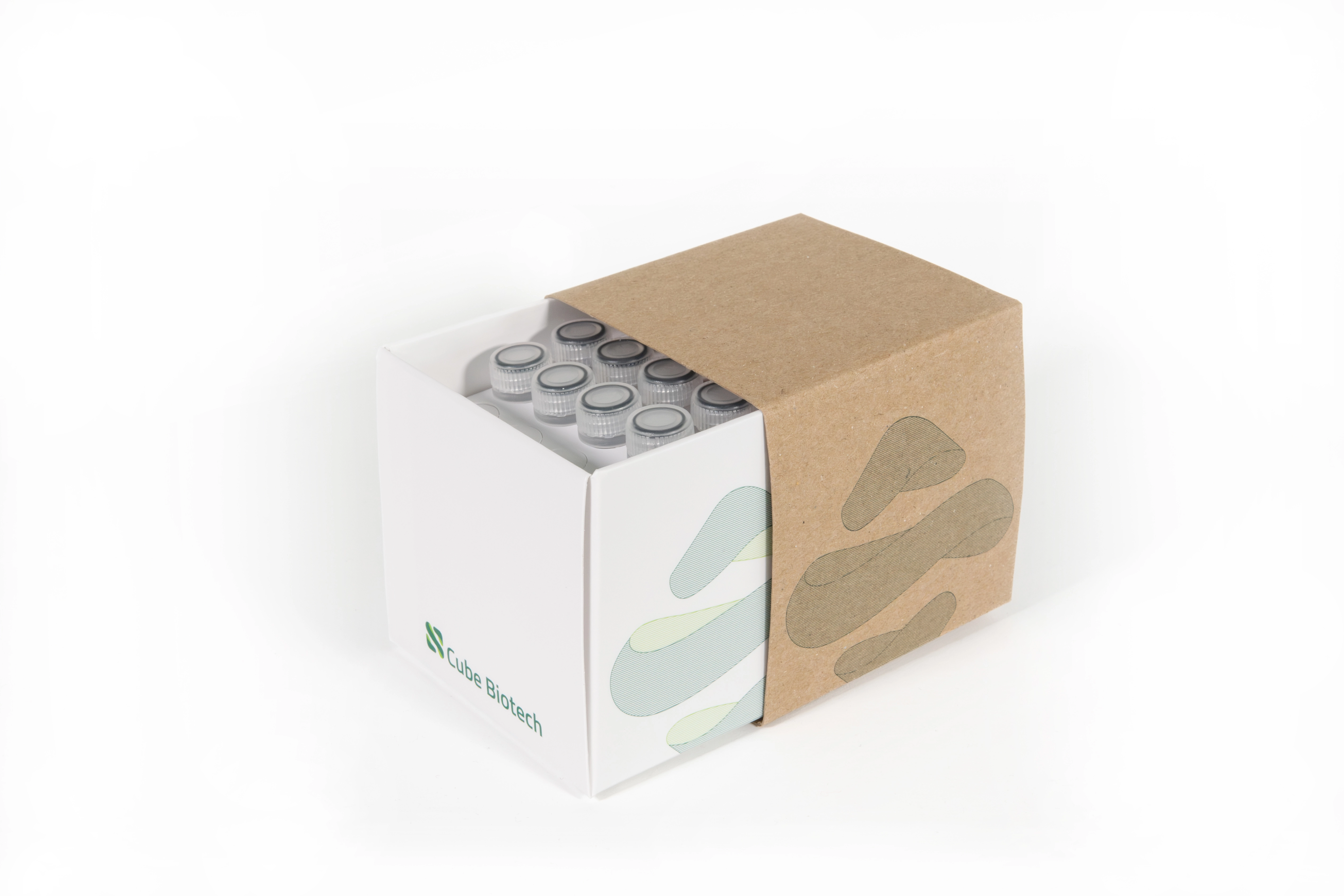 MSP Starter Kit for In Vitro Protein Synthesis