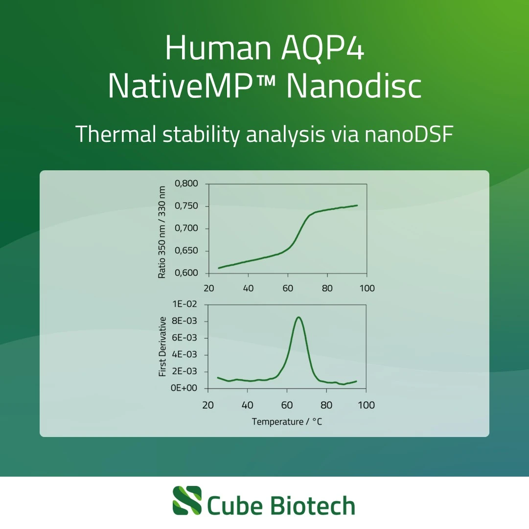 AQP4 - Aquaporin-4