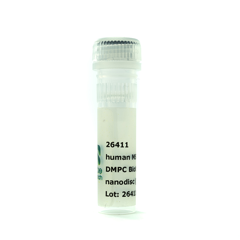 Nanodisc MSP1D1-His DMPC Biotinyl PE (50 µl)