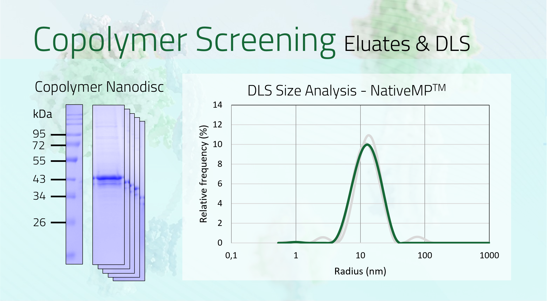 CD20 Eluate +DLS