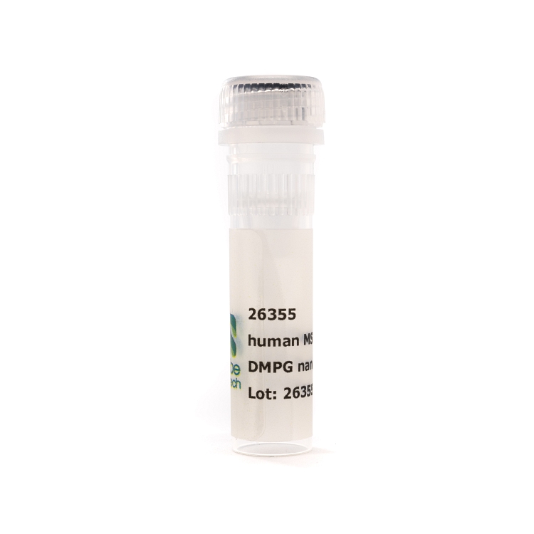 Nanodisc MSP1E3D1-His DMPG (50 µL)