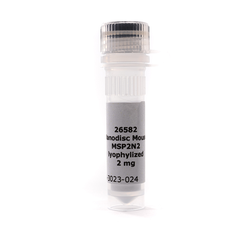 MSP2N2, lyophilized protein