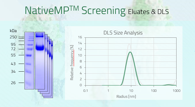 MCOLN3 - Mucolipin-3