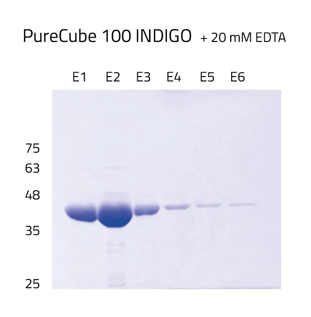INDIGO Protein purification including EDTA