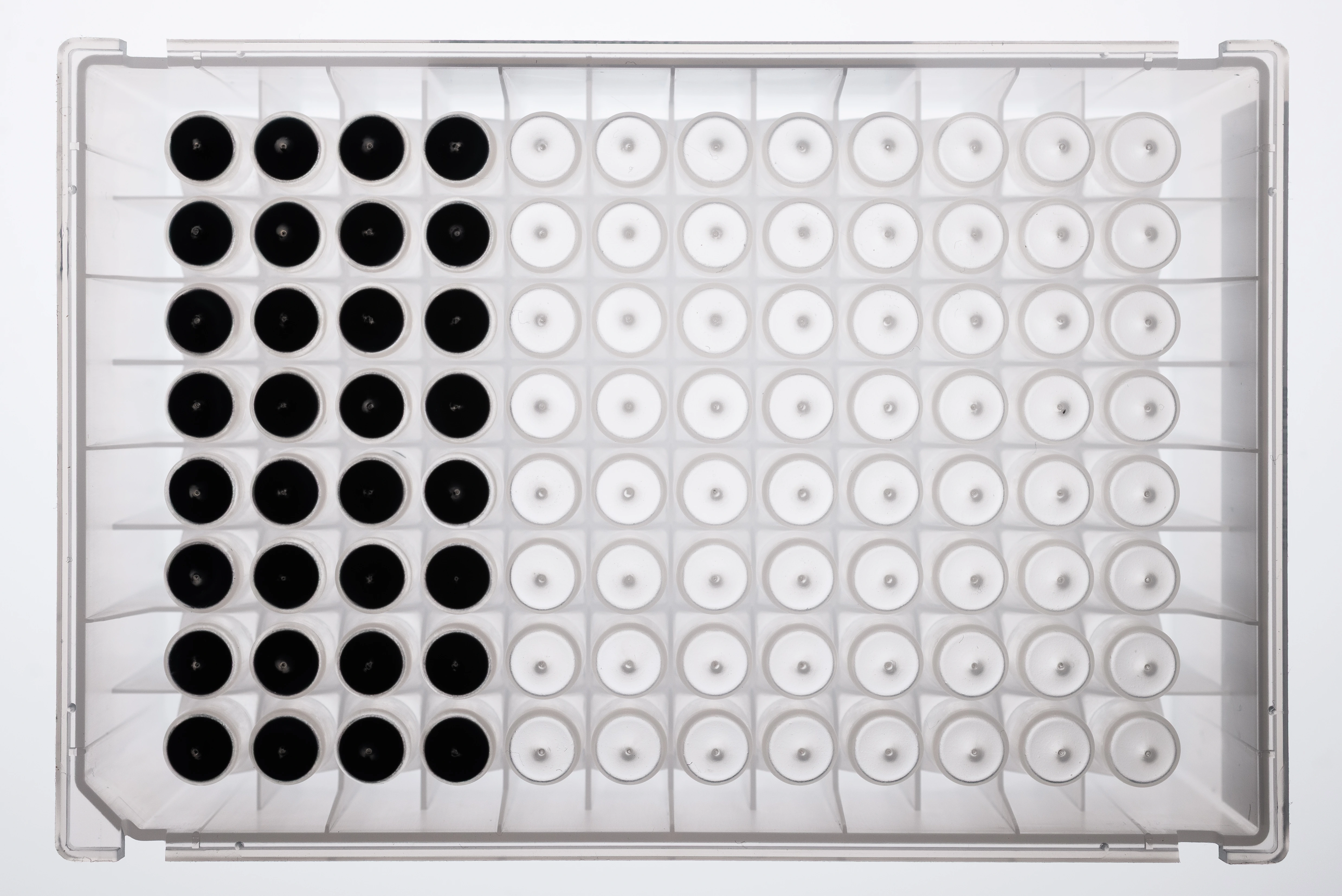 NativeMP™ Screening + Strep-Tactin®XT Purification Plate Set