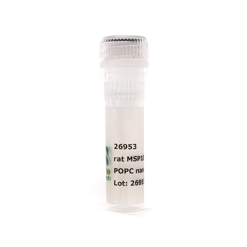 Nanodisc rat MSP1E3D1-His POPC (50 µL)