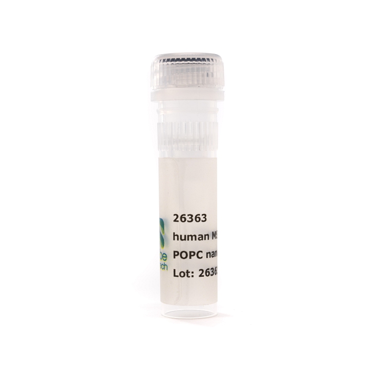 Nanodisc MSP1E3D1 POPC (50 µL)