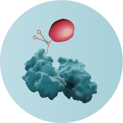 GST-tag bound to a protein with a blue background