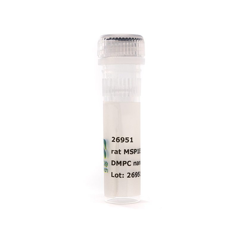 Nanodisc rat MSP1E3D1-His DMPC (50 µL)