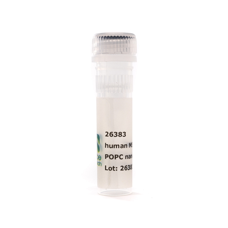 Nanodisc MSP2N2 POPC (50 µL)