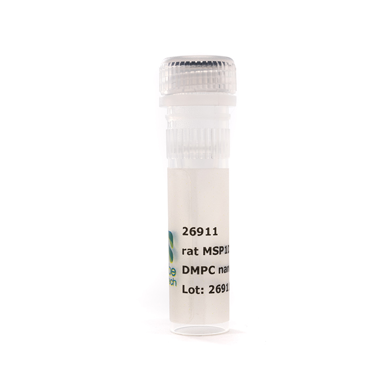 Nanodisc rat MSP1D1-His DMPC (50 µL)