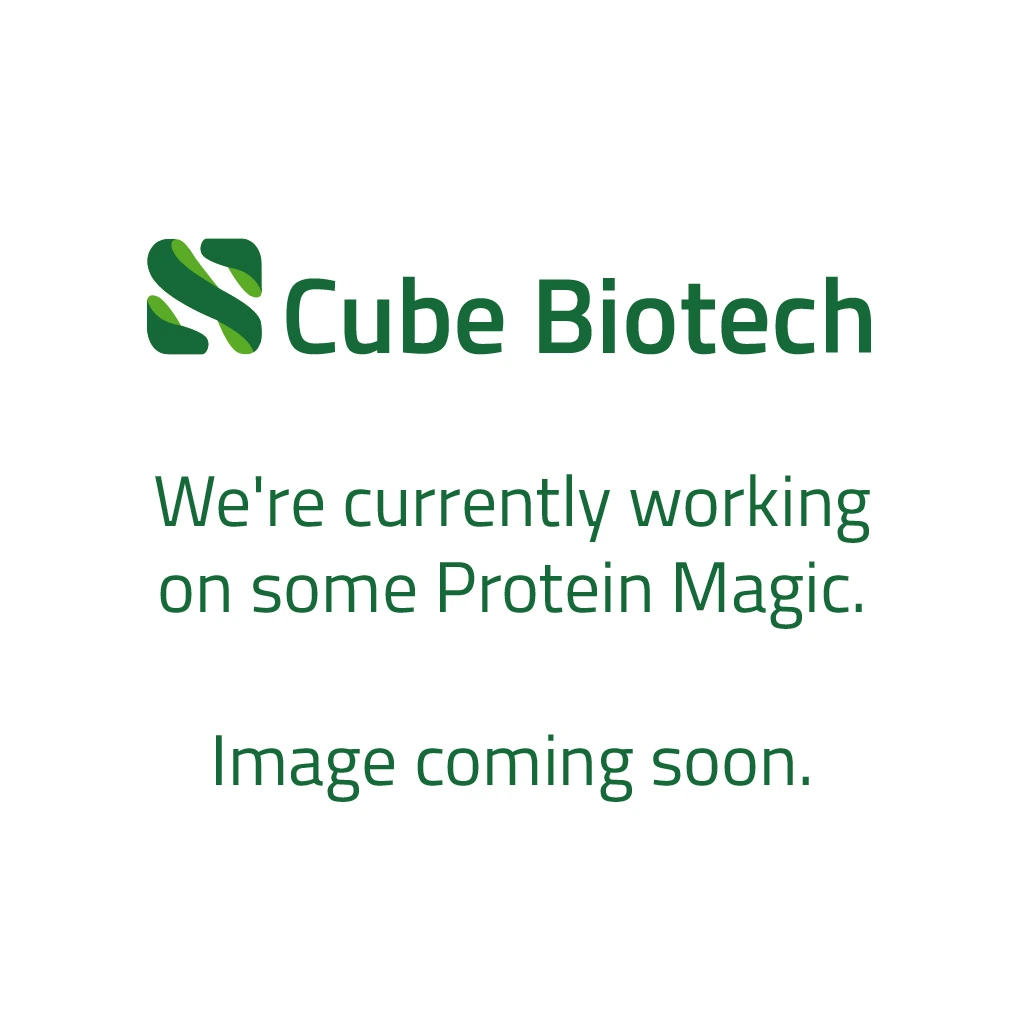 PureCube Streptavidin MagBeads