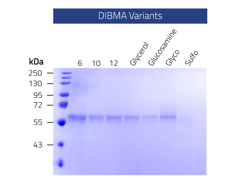 DIBMA Variants Comparison