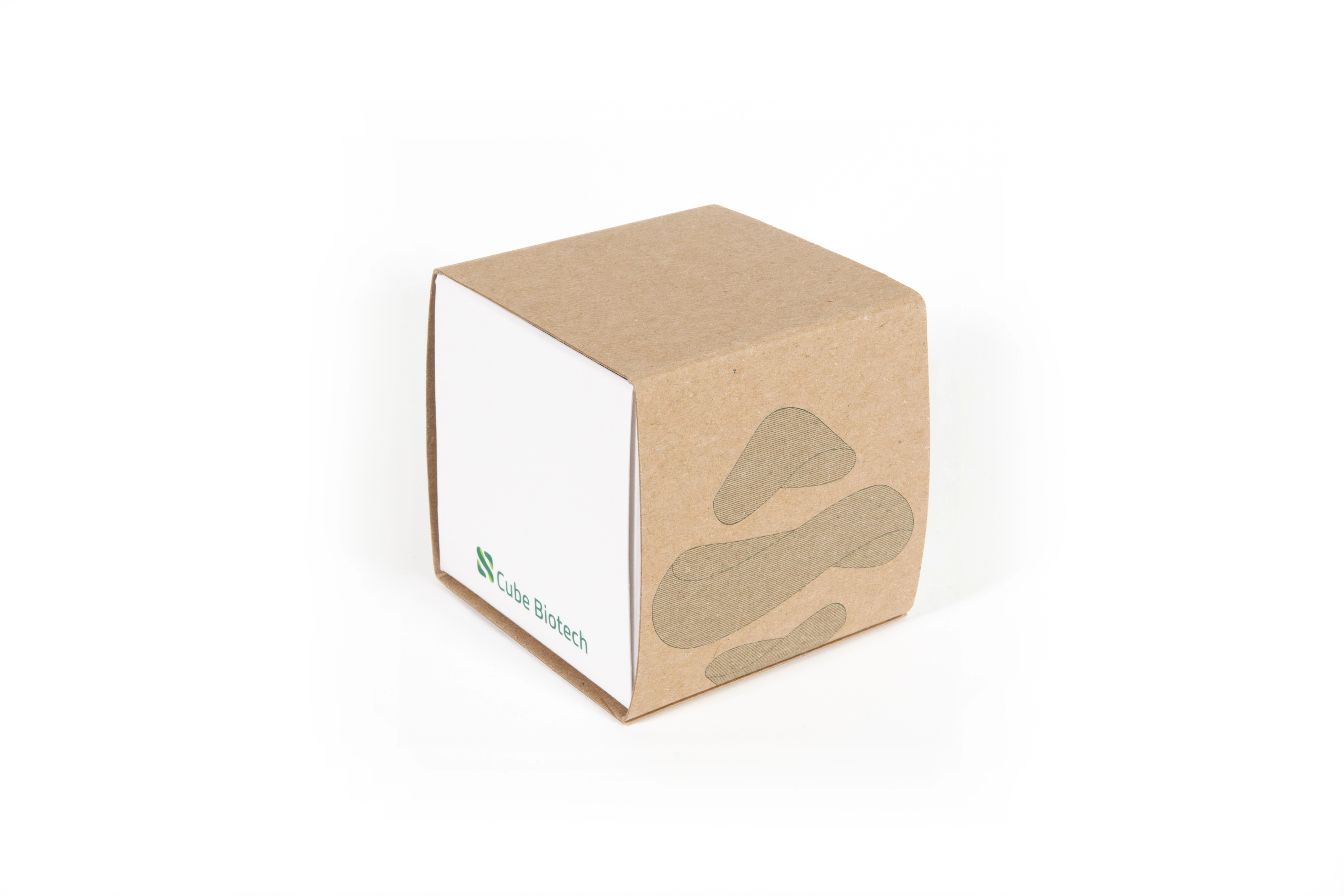 MSP Starter Kit for In Vitro Protein Synthesis