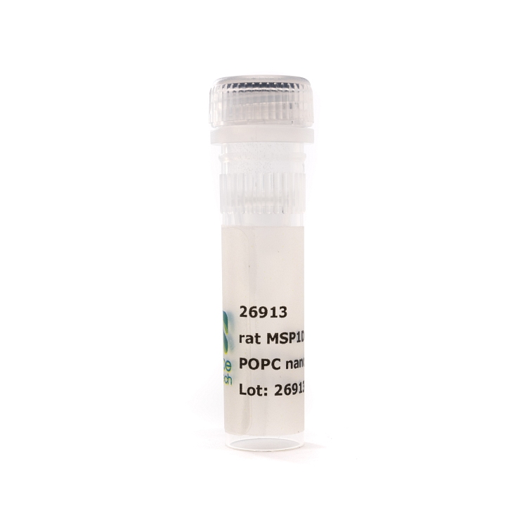 Nanodisc rat MSP1D1-His POPC (50 µL)
