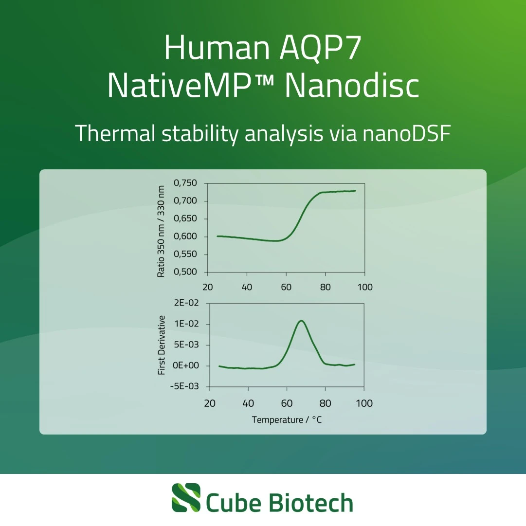AQP7 - Aquaporin-7