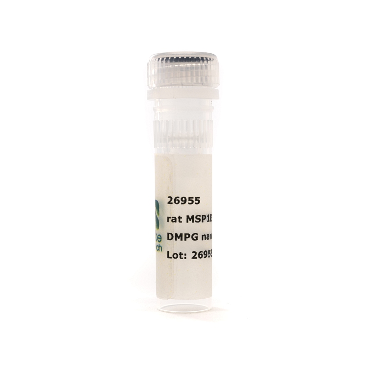 Nanodisc rat MSP1E3D1-His DMPG (50 µL)