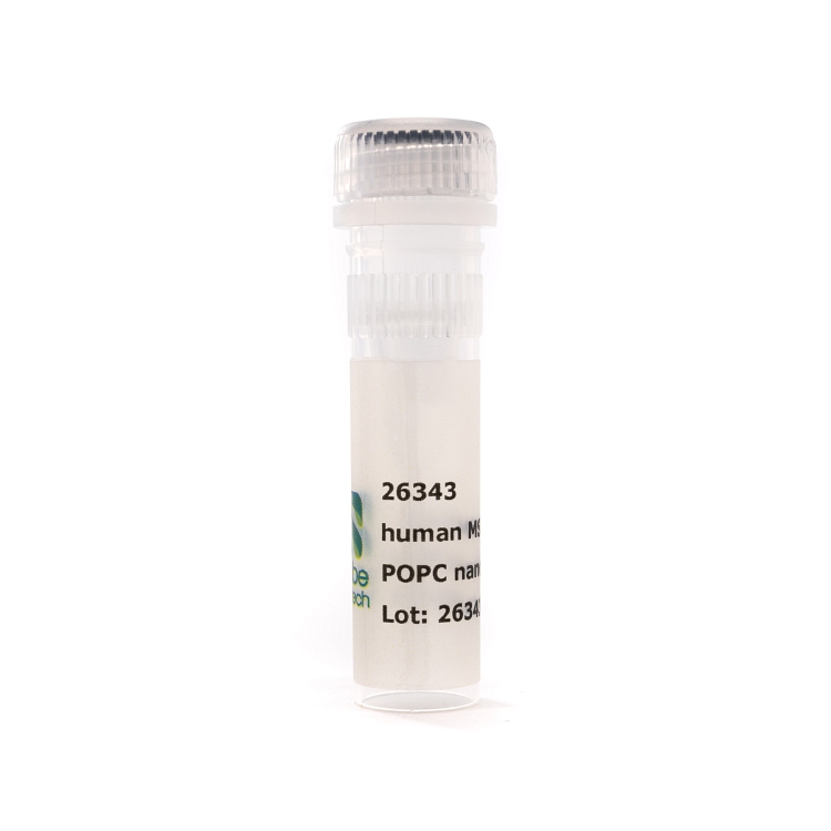 Nanodisc MSP1D1 dH5 POPC (50 µL)
