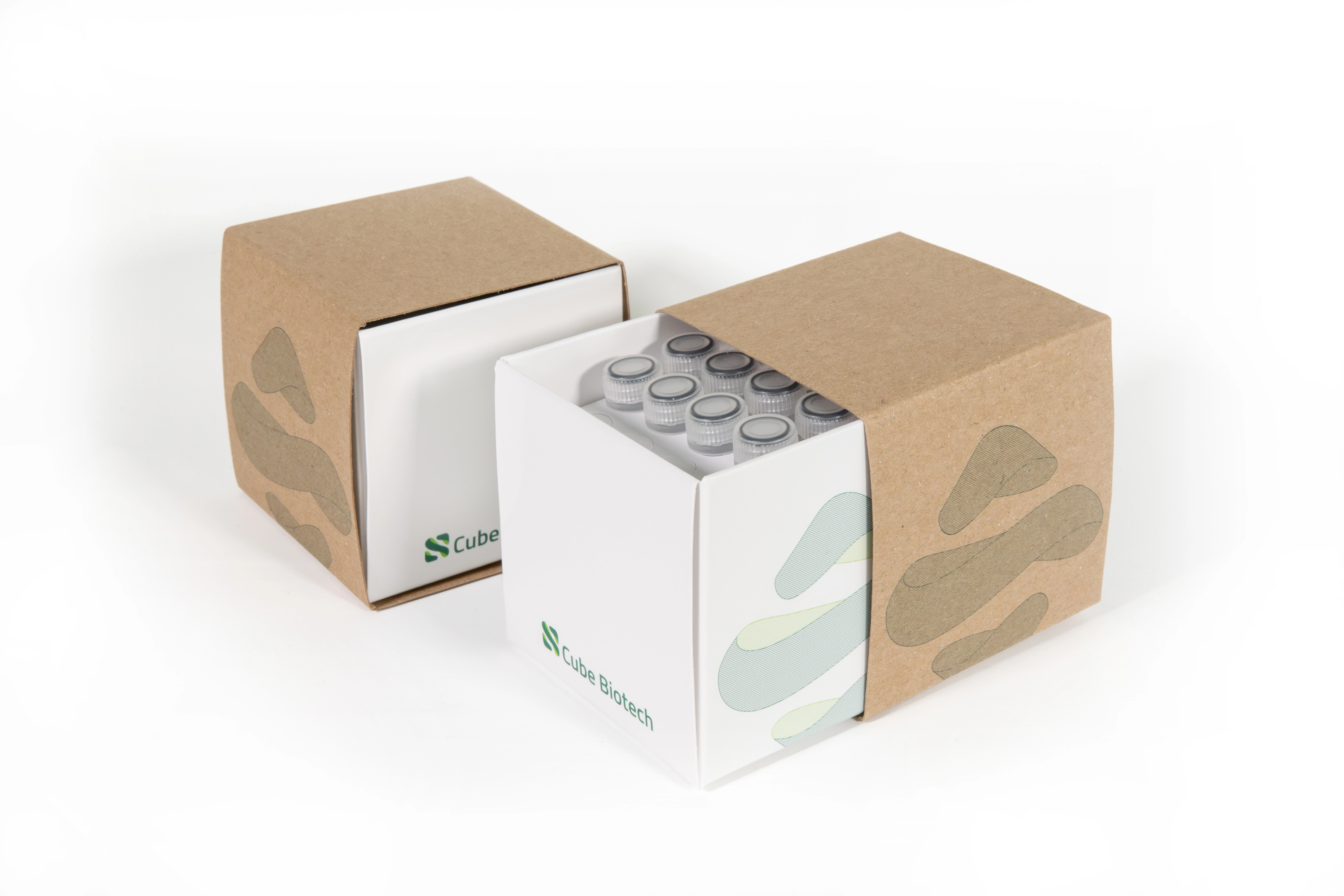 MSP Starter Kit for In Vitro Protein Synthesis