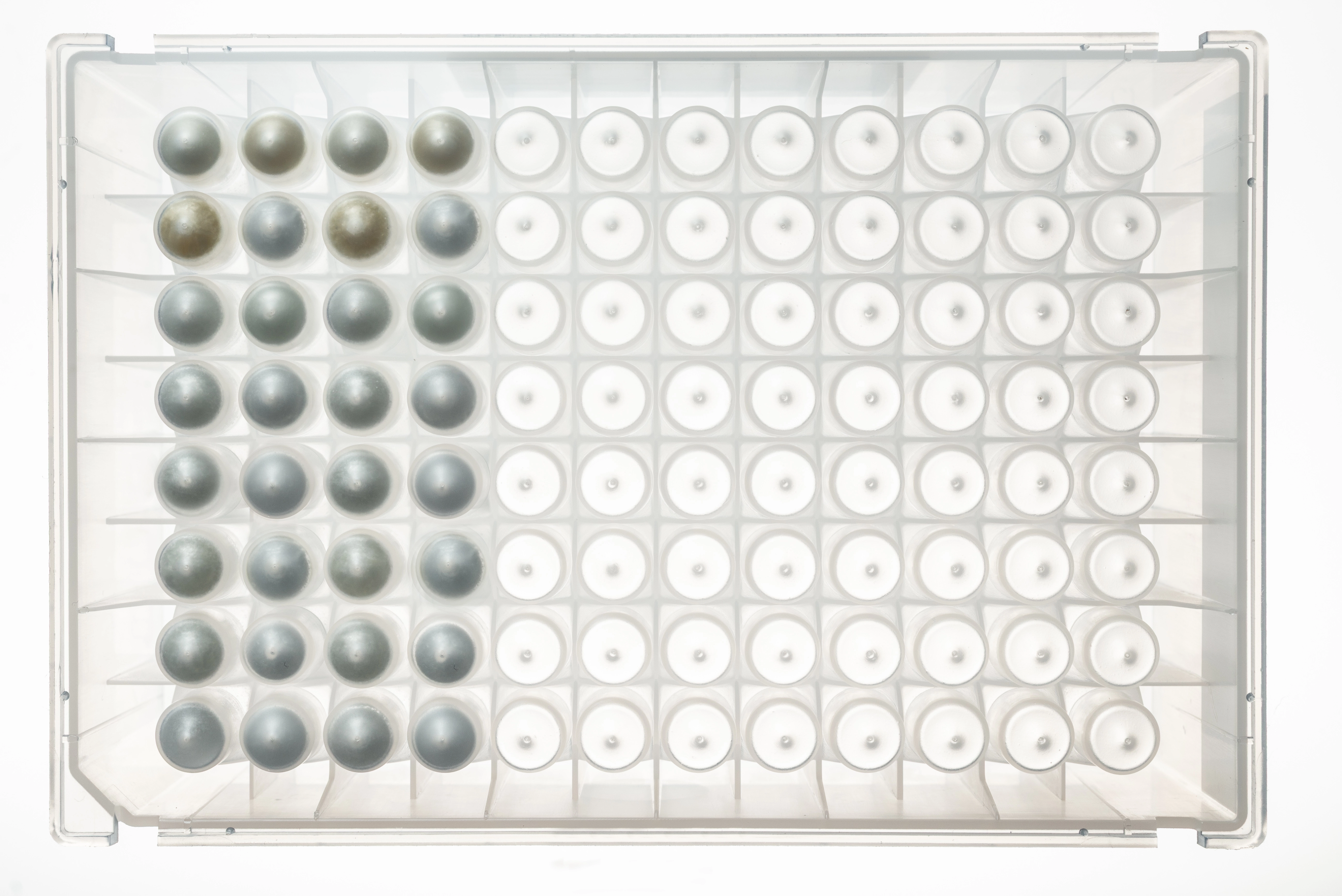 NativeMP™ Screening + Strep-Tactin®XT Purification Plate Set