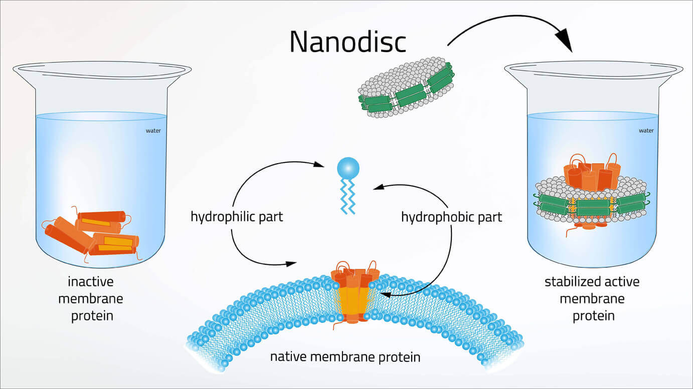 Membrane protein in water and how to fix it