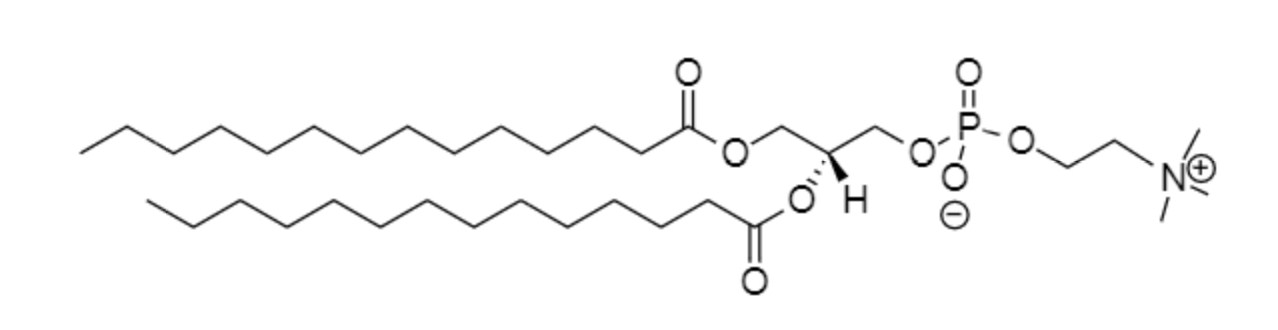 DMPC phospholipid structure