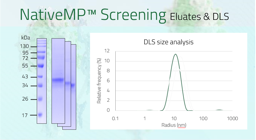 AQP10 - Aquaporin-10