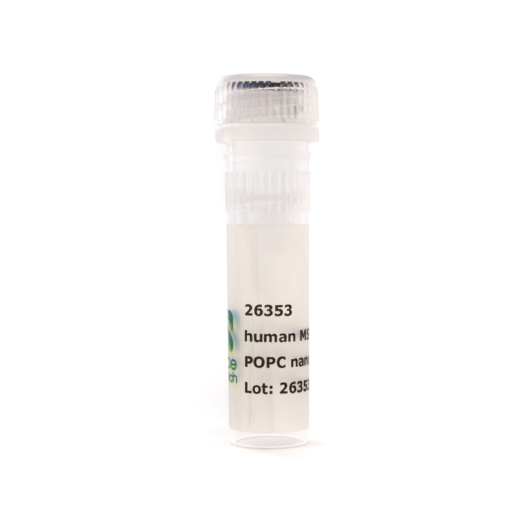 Nanodisc MSP1E3D1-His POPC (50 µL)