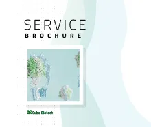 Button Service Brochure