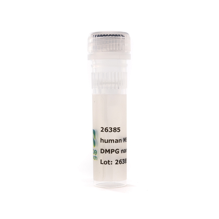 Nanodisc MSP2N2 DMPG (50 µL)