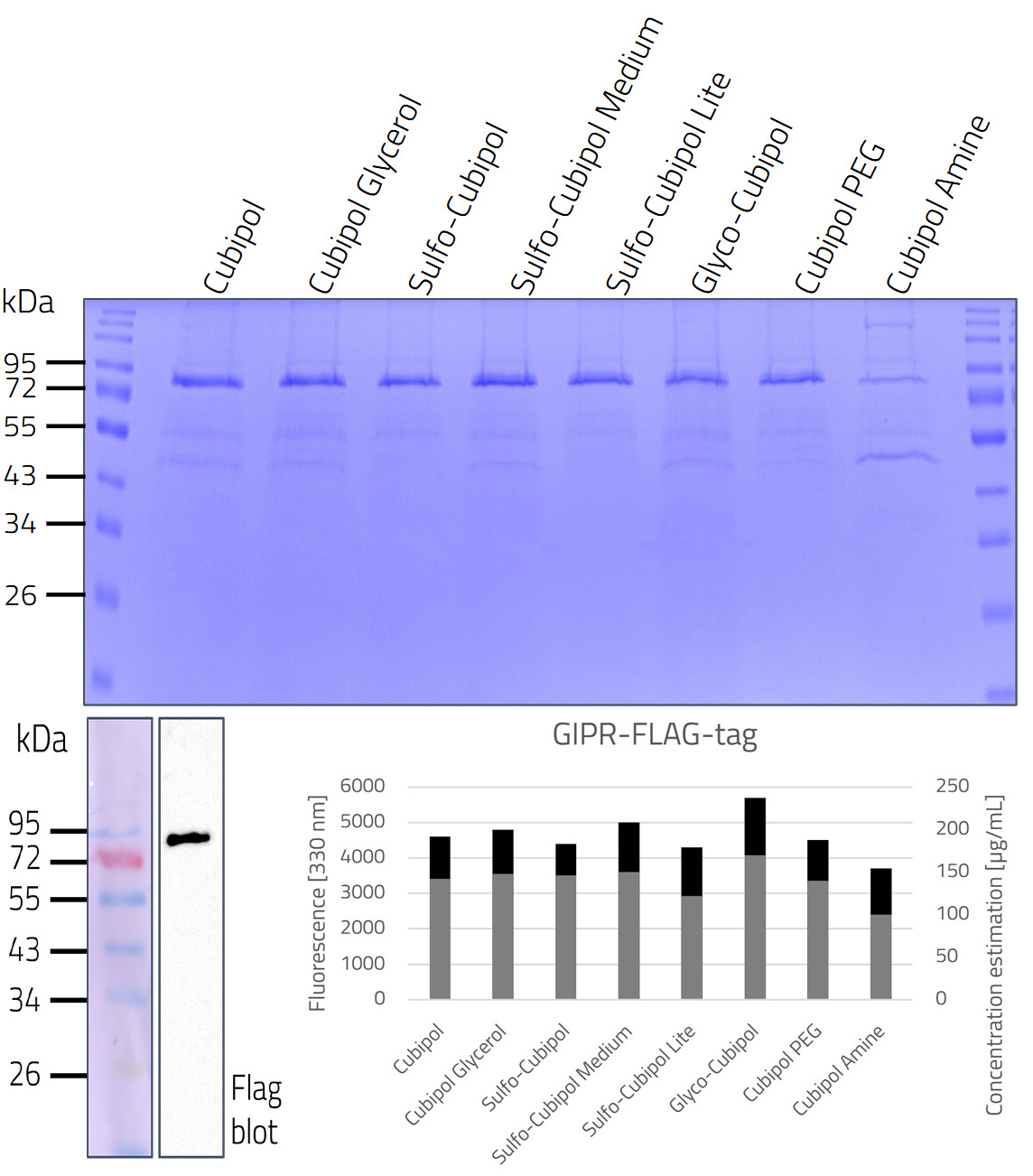 GIPR in PlateX MP Flag Tag