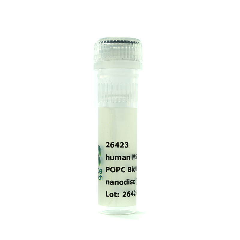 Nanodisc MSP1D1 dH5-His POPC Biotinyl PE (50 µl)