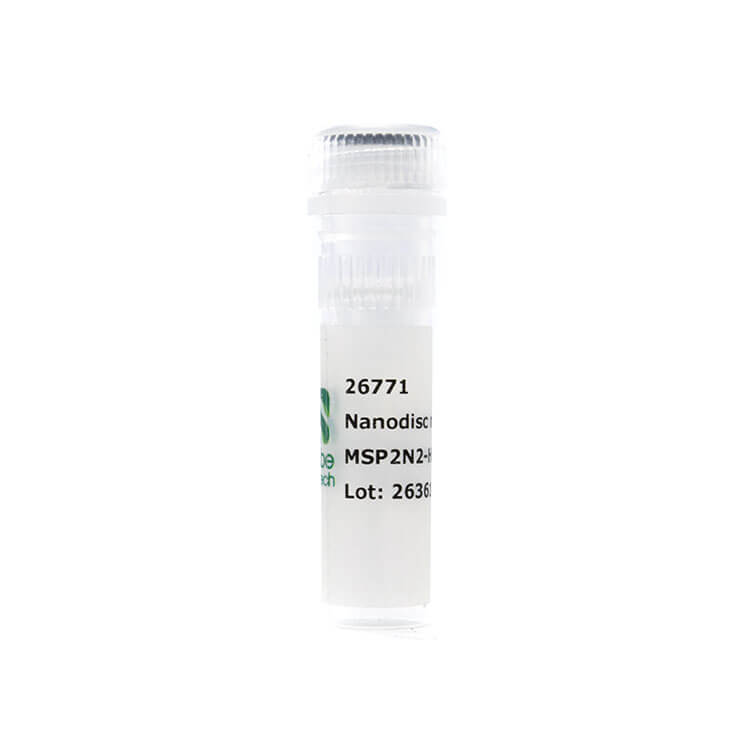 Nanodisc mouse MSP2N2-His DMPC (50 µl)