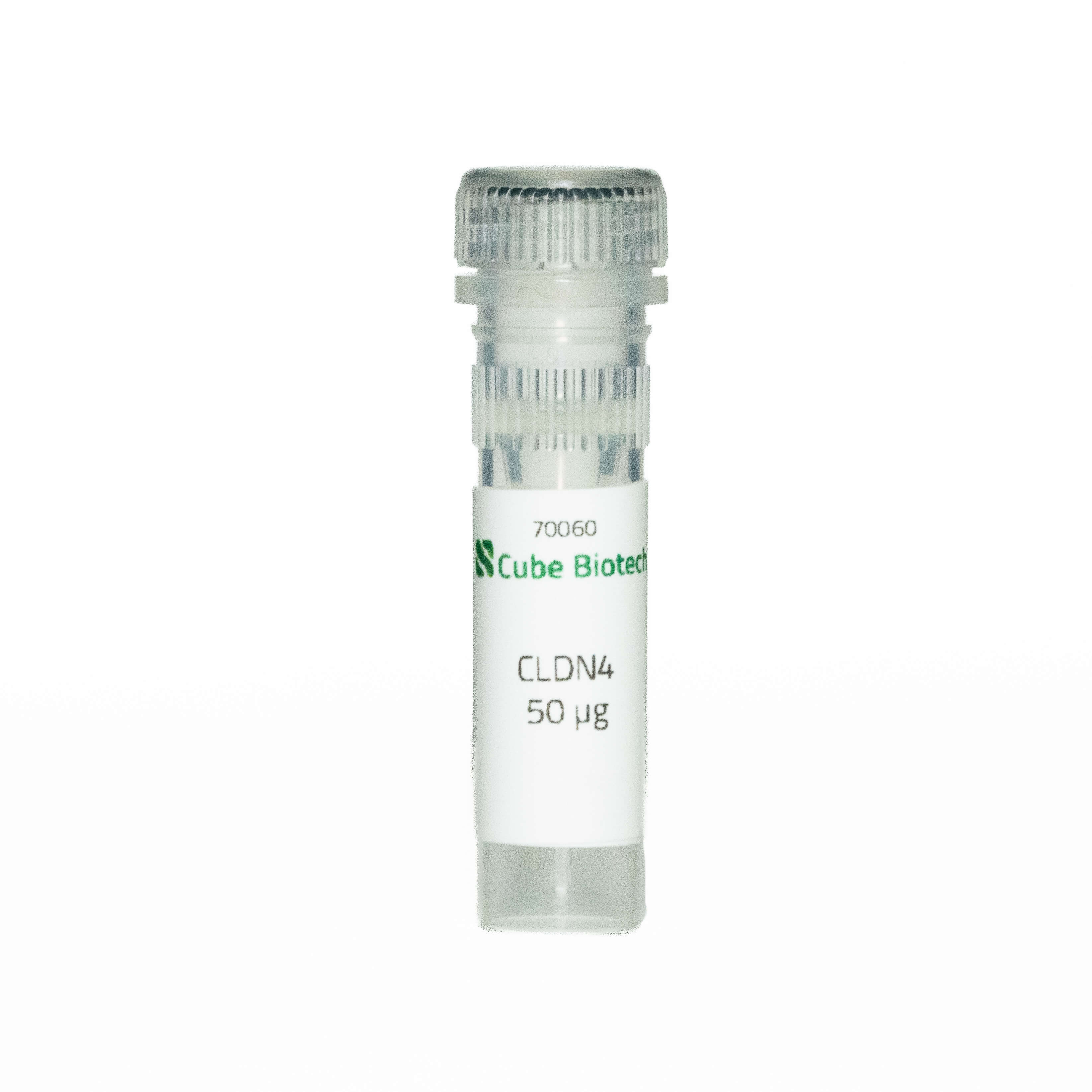 Claudin-4 (CLDN4, CPER, CPETR1, WBSCR8)