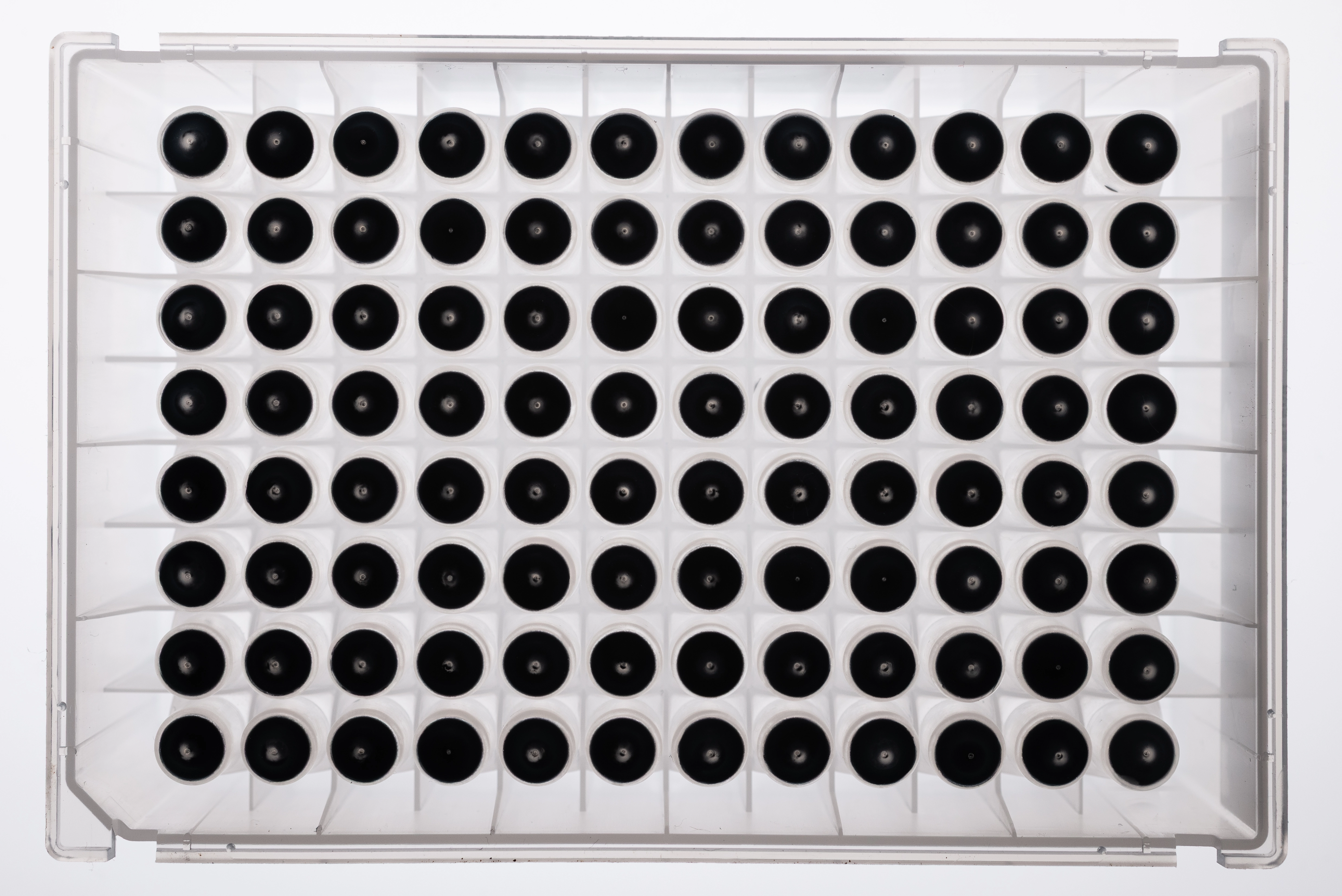 NativeMP™ Screening + Anti-DYKDDDDK Purification Plate Set