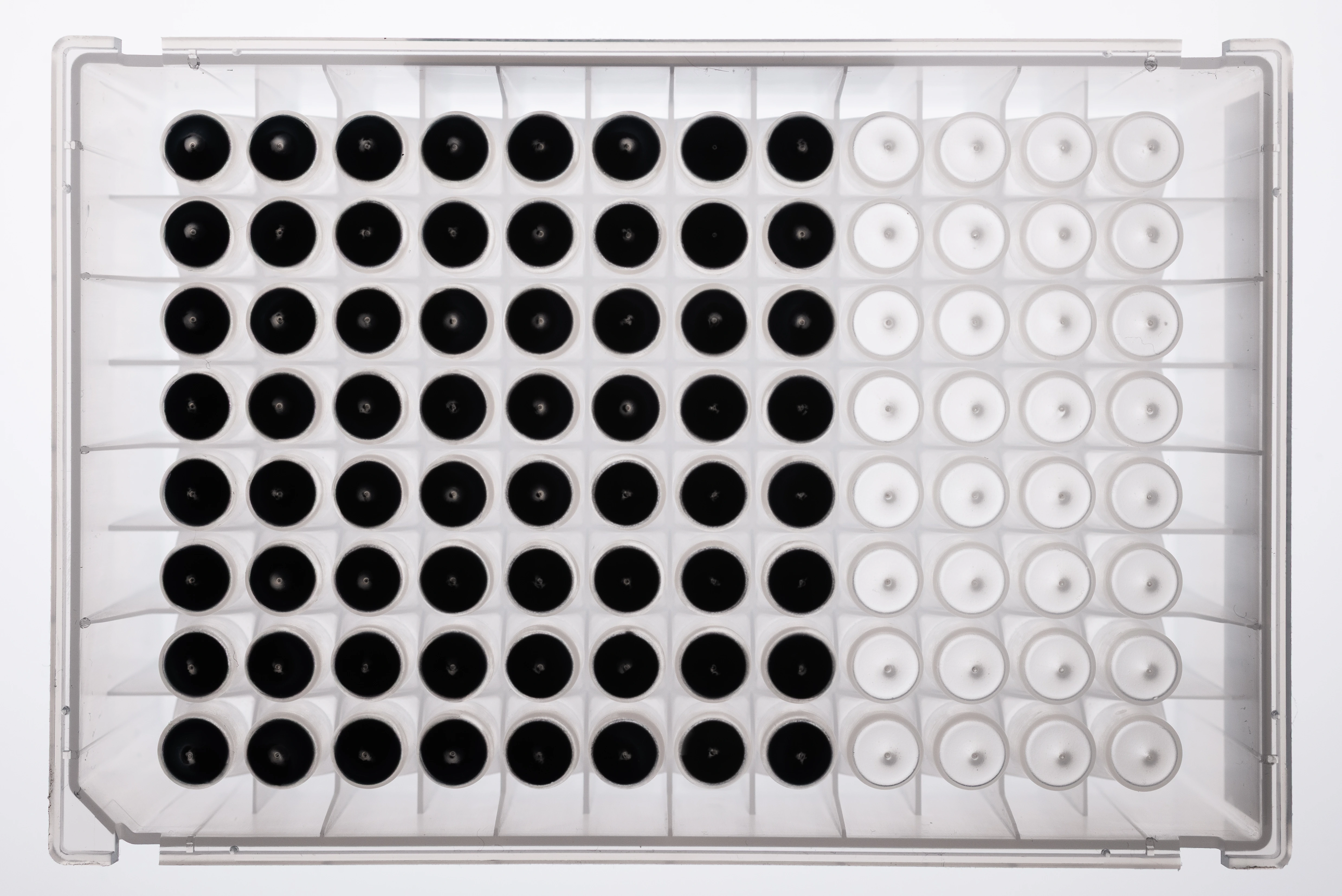 NativeMP™ Screening + Rho1D4 Purification Plate Set