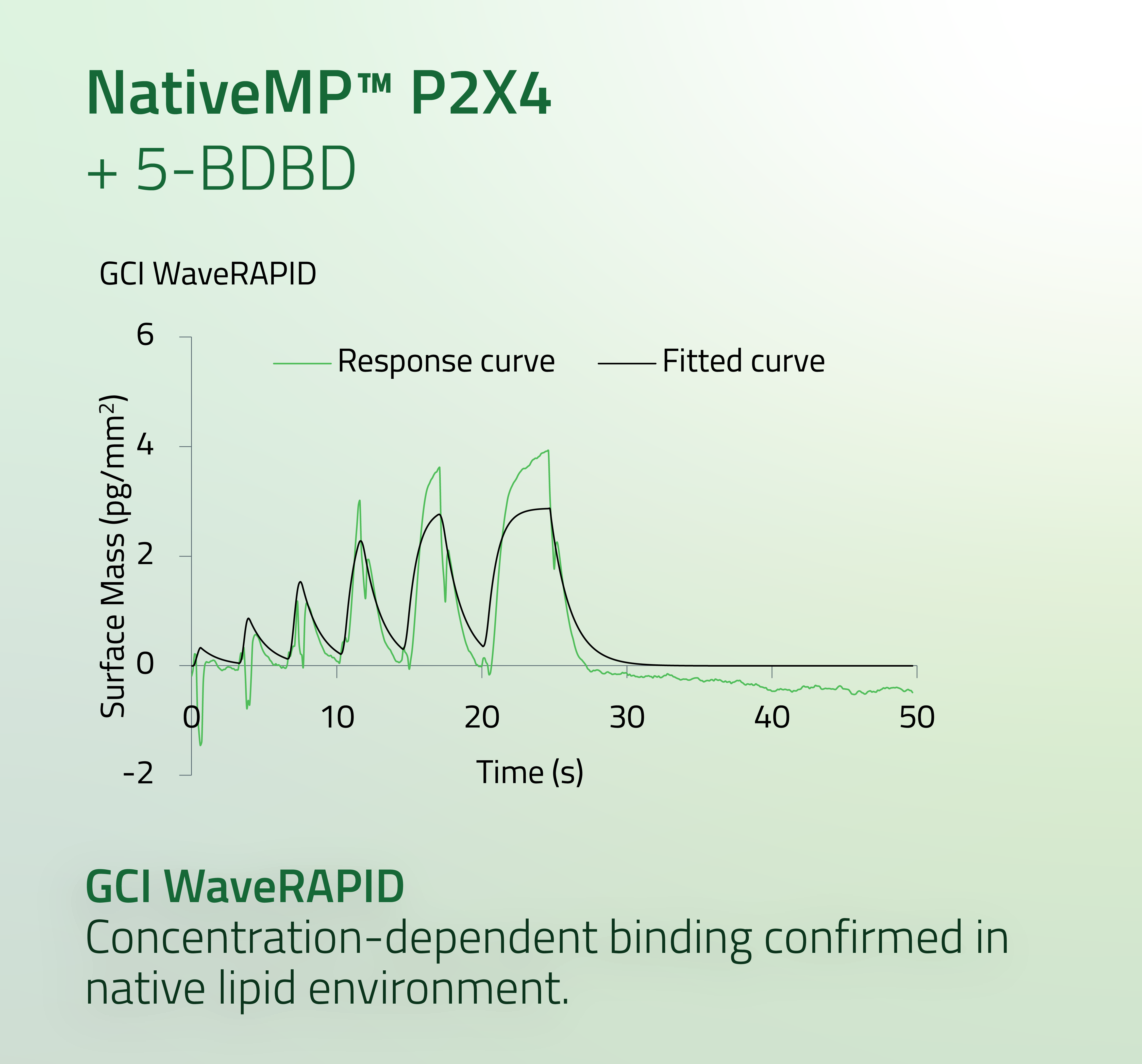 P2RX4 - P2X Purinoceptor 4