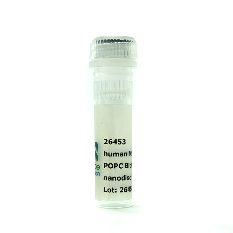 Nanodisc MSP1E3D1-His POPC Biotinyl PE (50 µl)