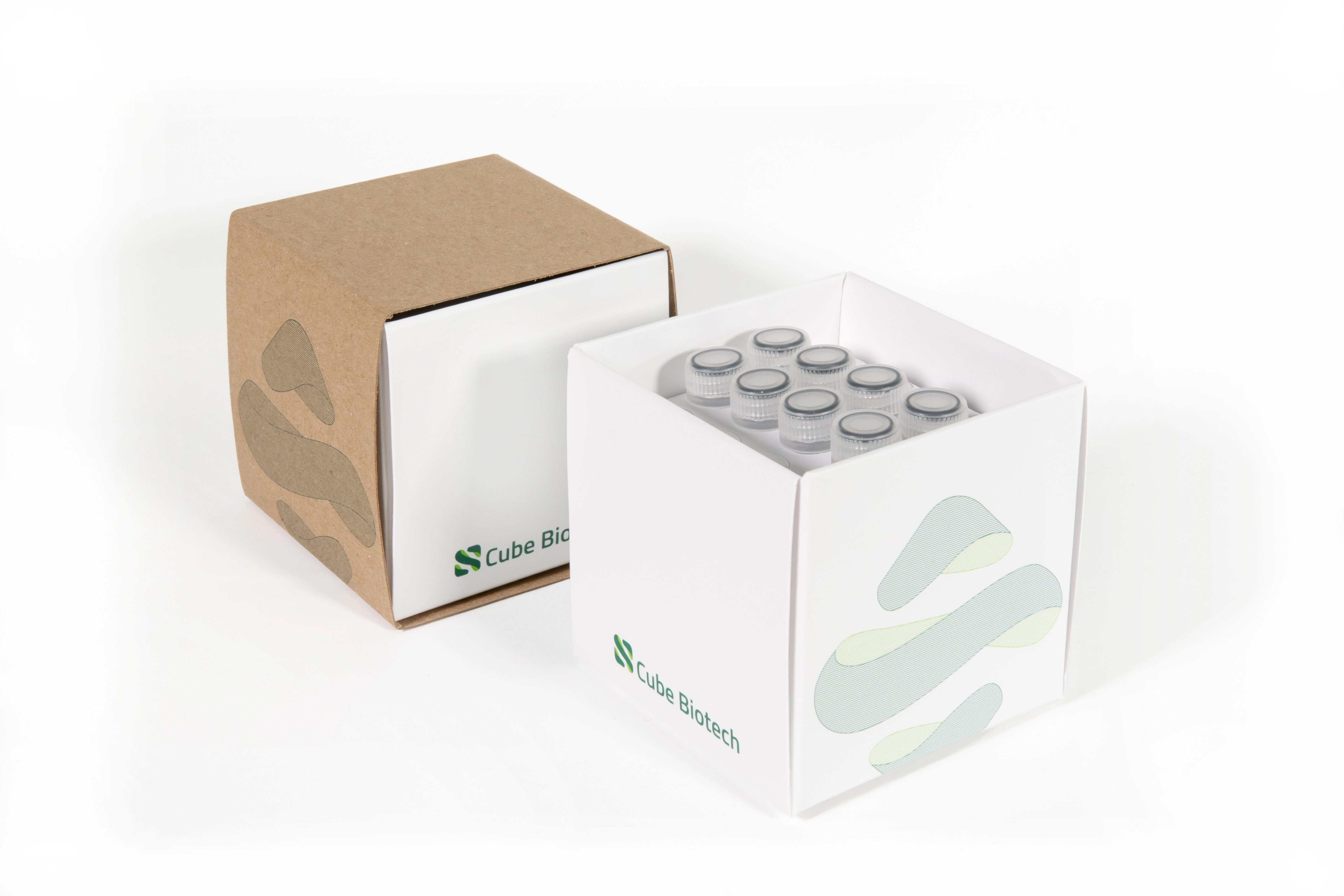 MSP Starter Kit for In Vitro Protein Synthesis