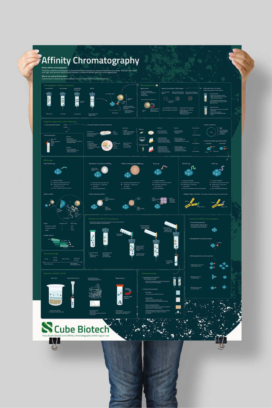 Poster DIN A0 size Cube Biotech